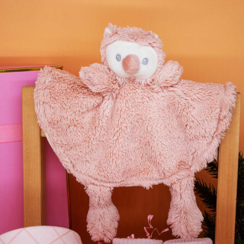Baby Gift for Birth Girl - Comforter, Anti-Slip